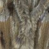IOLENTE fur waistcoat Brown mottled - 10346-38575